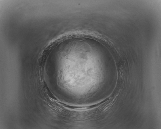 X0000057581494200509231238