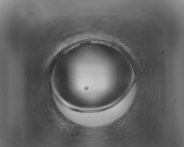 X0000057581496200509231238