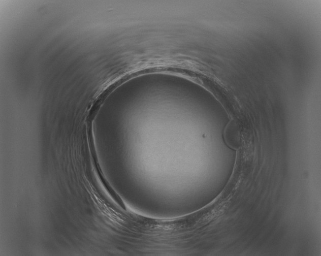 X0000057581497200509231238