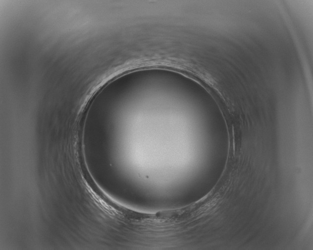 X0000057581500200509231238