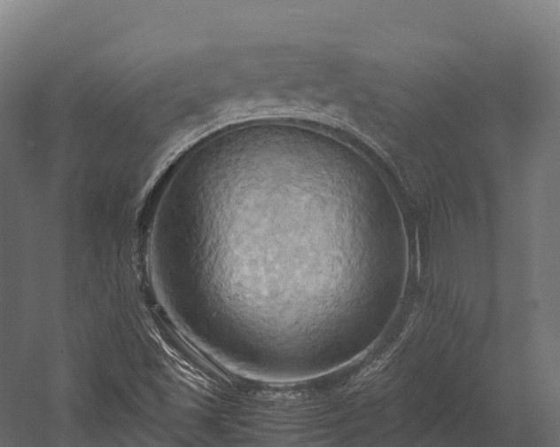 X0000057581501200509231238