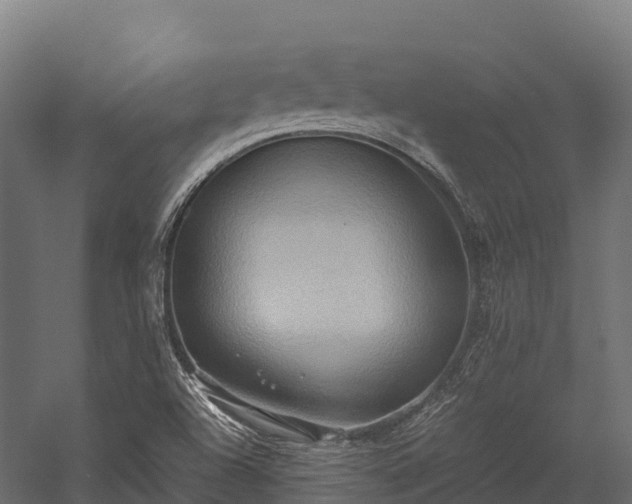 X0000057581504200509231238