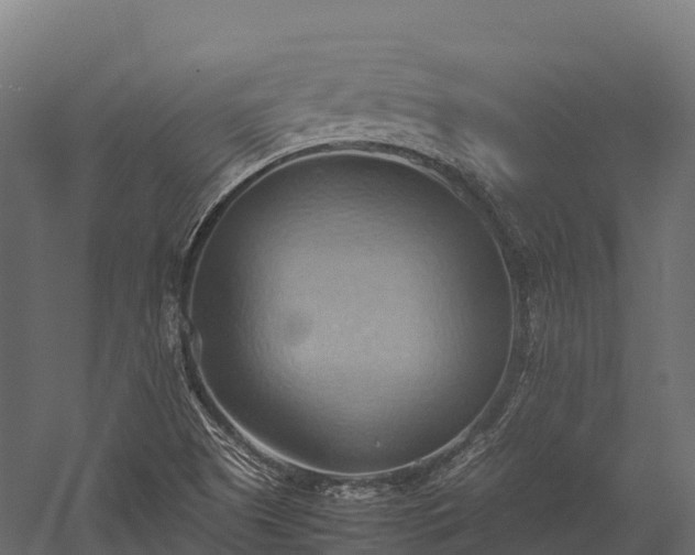 X0000057581505200509231238