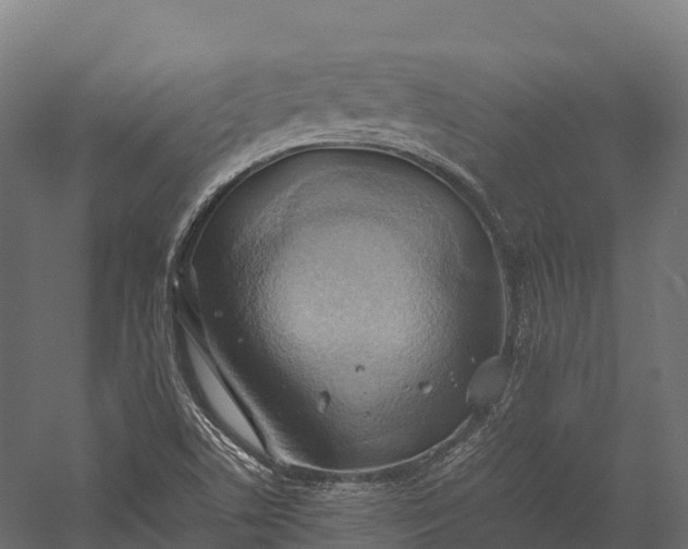 X0000057581506200509231238