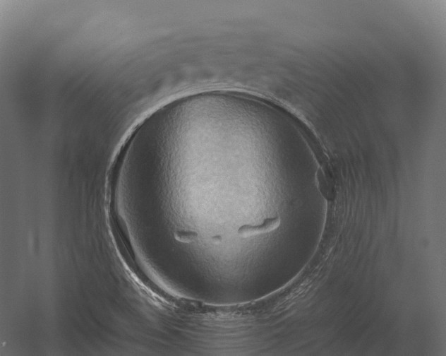 X0000057581508200509231238