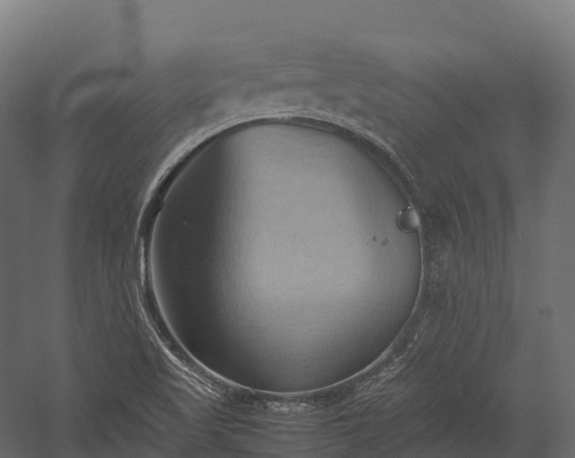 X0000057581509200509231238