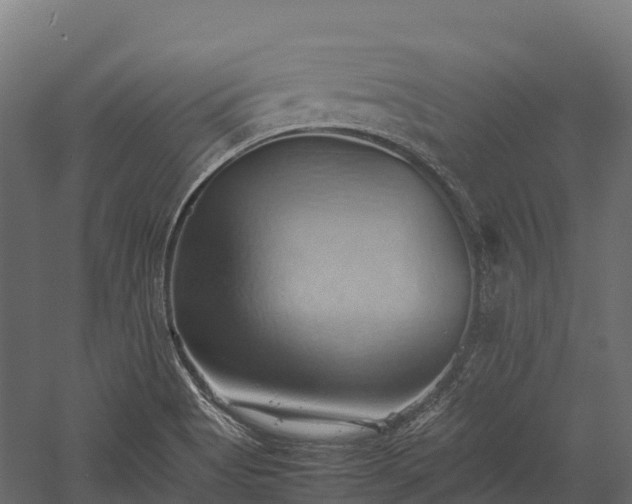 X0000057581513200509231238