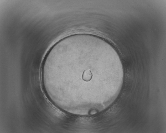 X0000057581514200509231238