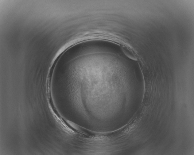 X0000057581522200509231238