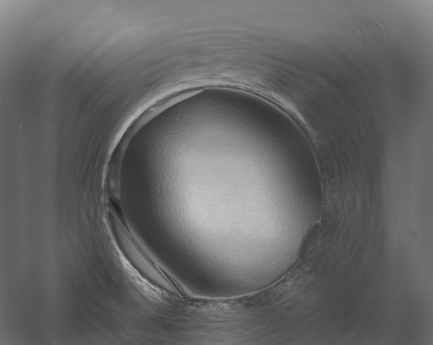 X0000057581524200509231238