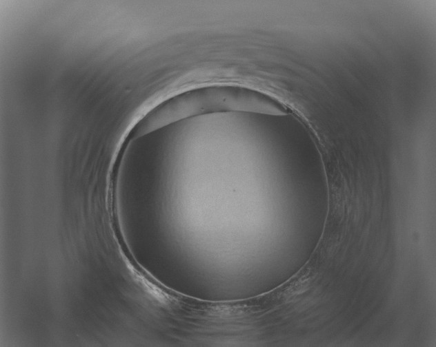 X0000057581527200509231238