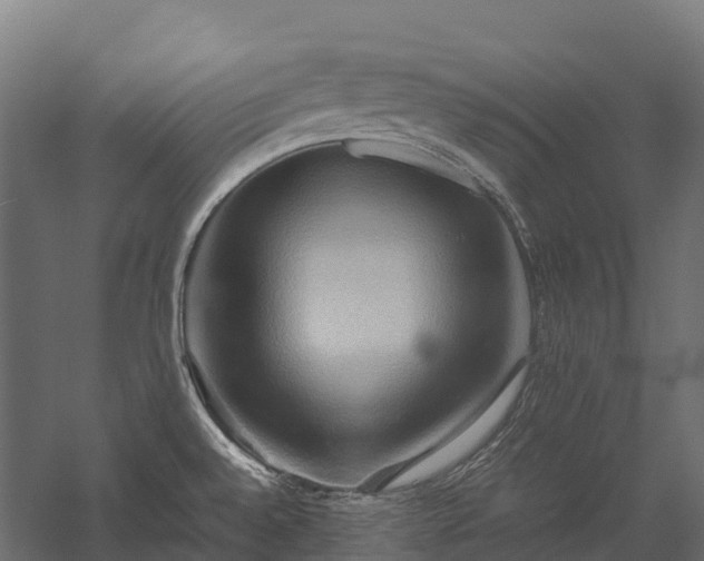 X0000057581528200509231238