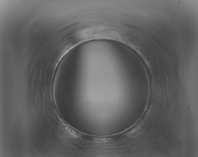 X0000057581529200509231238