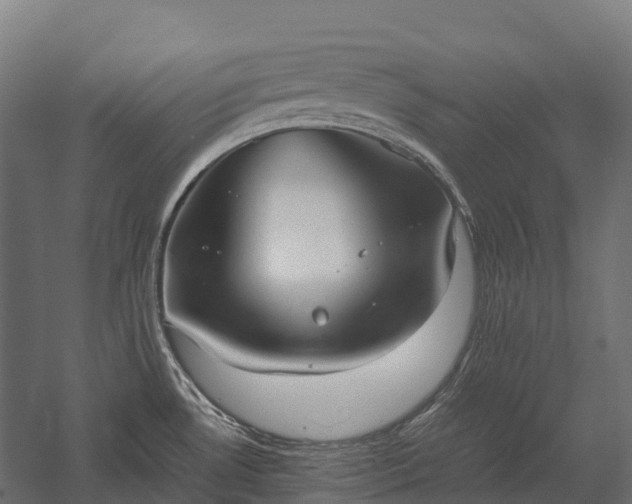 X0000057581530200509231238