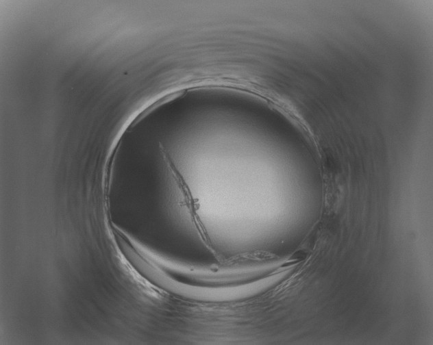 X0000057581532200509231238