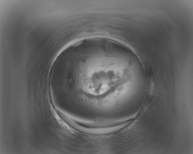 X0000057581534200509231238