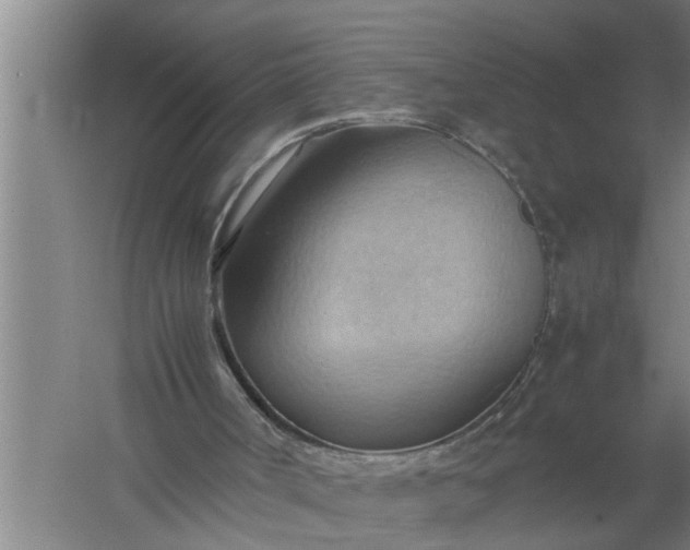 X0000057580002200509302150