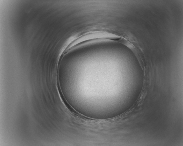 X0000057580003200509302150