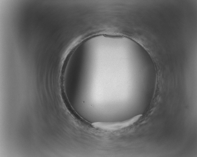 X0000057580007200509302150