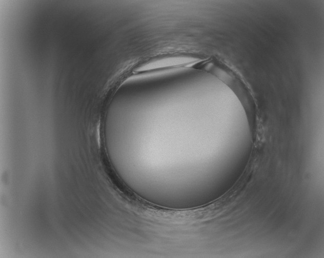 X0000057580019200509302150