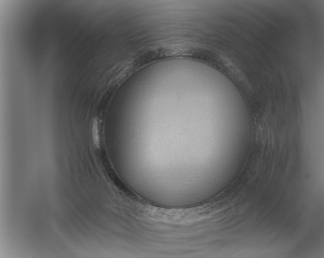 X0000057580026200509302149