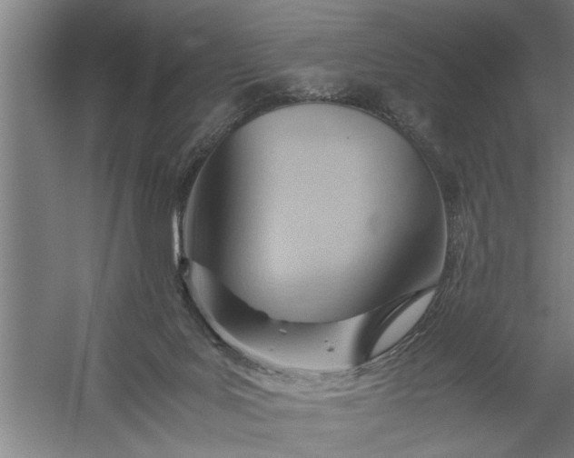 X0000057580027200509302149
