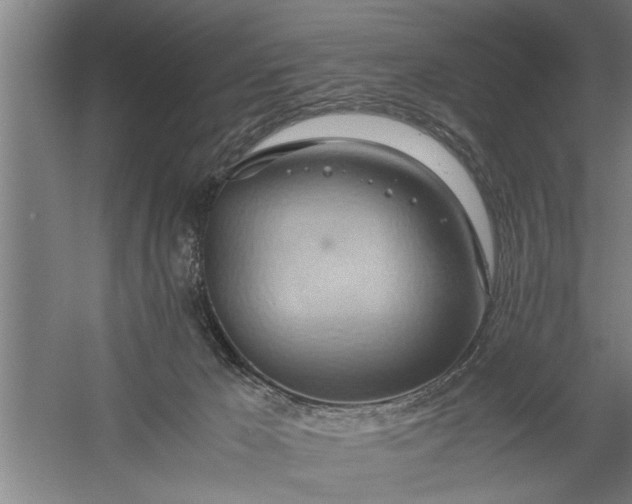 X0000057580029200509302149