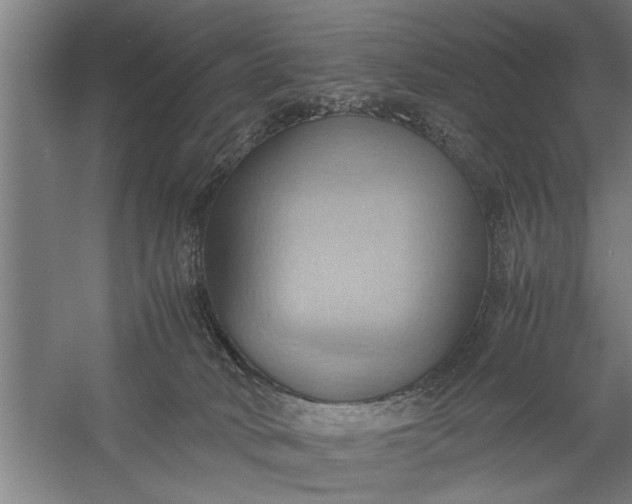 X0000057580034200509302149