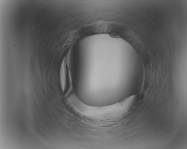 X0000057580035200509302149