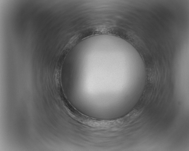 X0000057580036200509302149