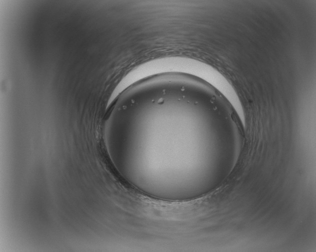 X0000057580039200509302149