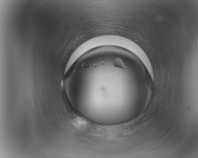 X0000057580041200509302149