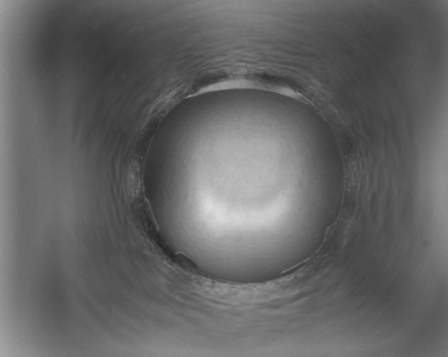 X0000057580043200509302149