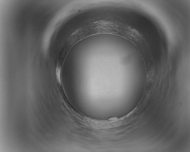 X0000057580047200509302149