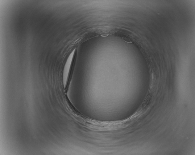 X0000057580048200509302149
