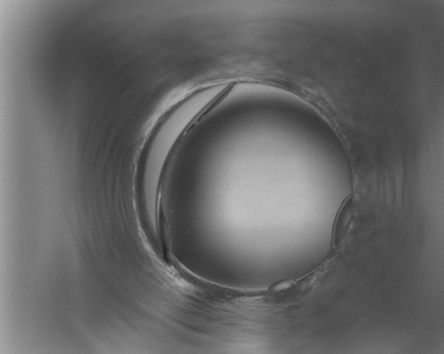 X0000057580054200509302148