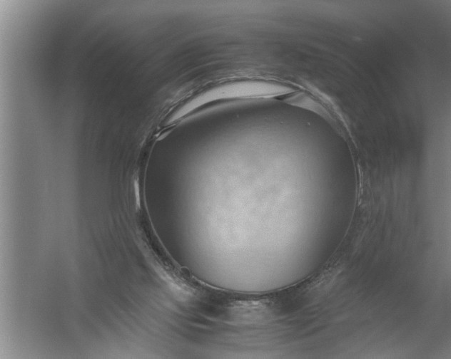 X0000057580061200509302148