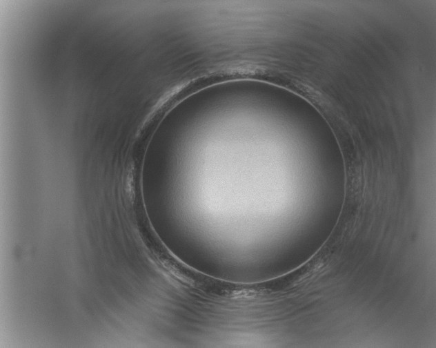 X0000057580064200509302149