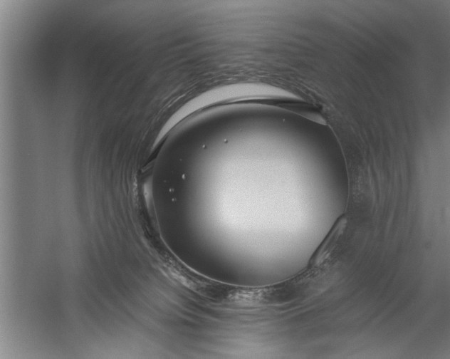 X0000057580084200509302149