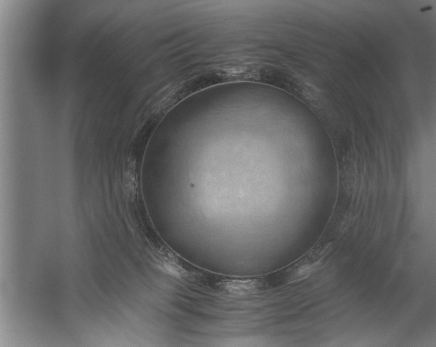 X0000057580085200509302149