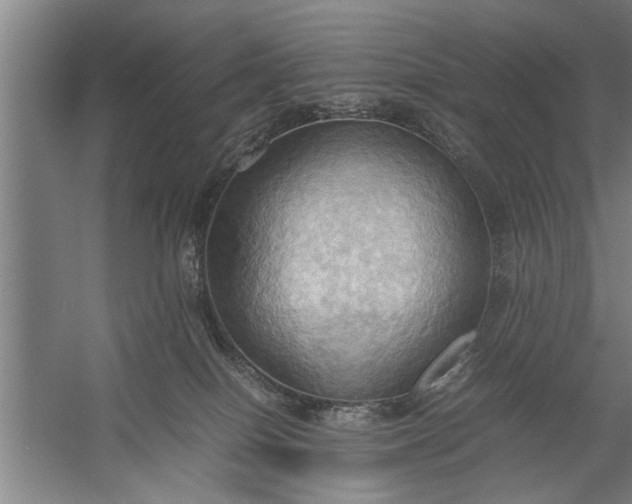 X0000057580086200509302149