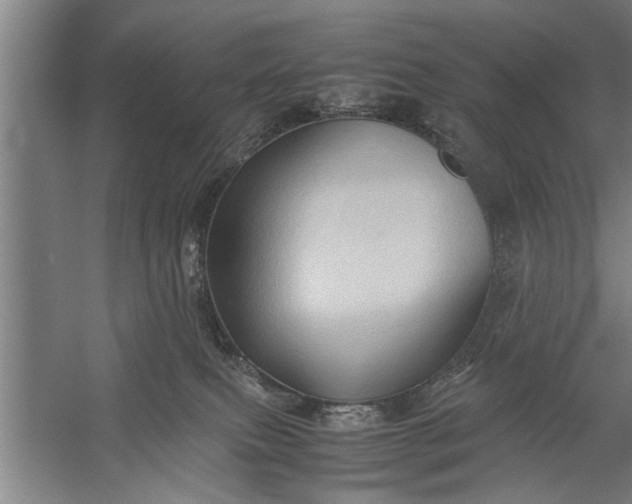 X0000057580087200509302149