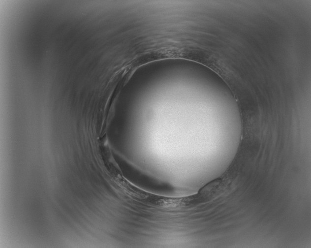 X0000057580088200509302149
