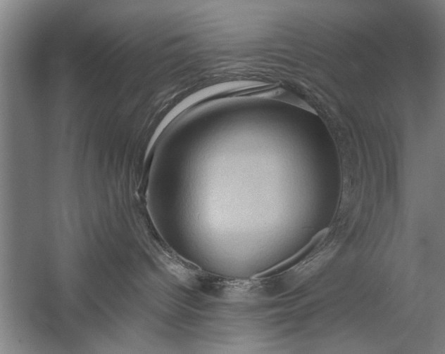 X0000057580096200509302149