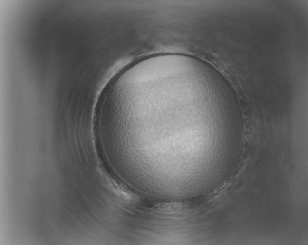 X0000057580104200509302148