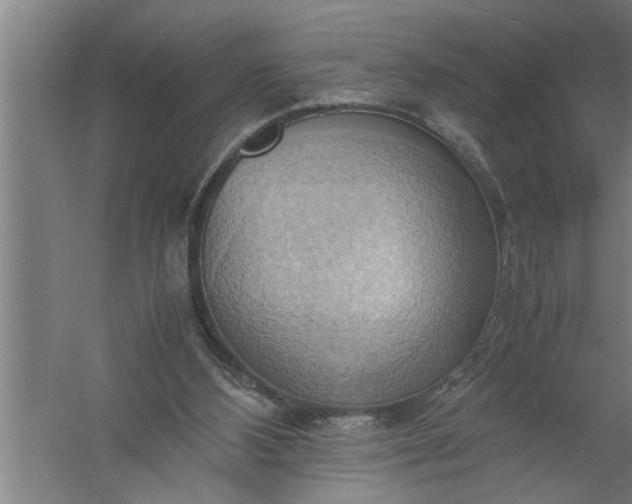 X0000057580108200509302148