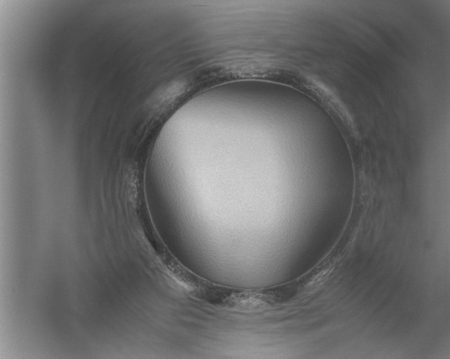 X0000057580113200509302148