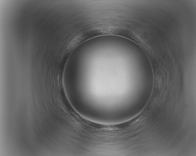X0000057580117200509302148