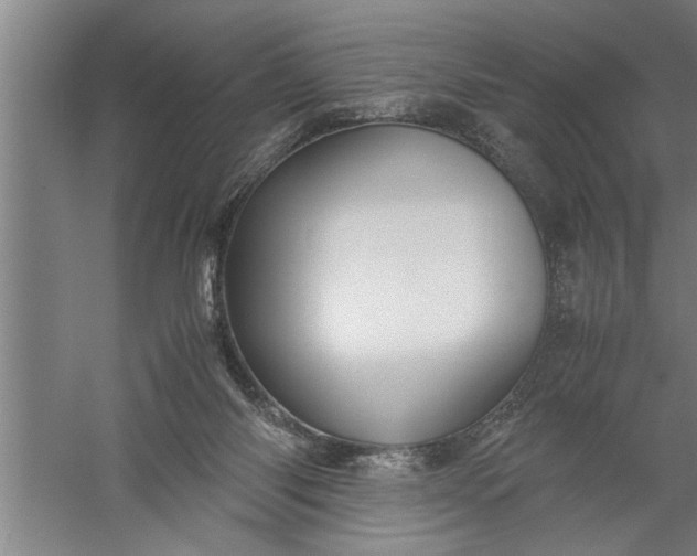 X0000057580118200509302148