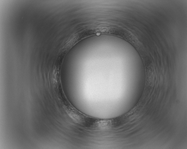 X0000057580126200509302148